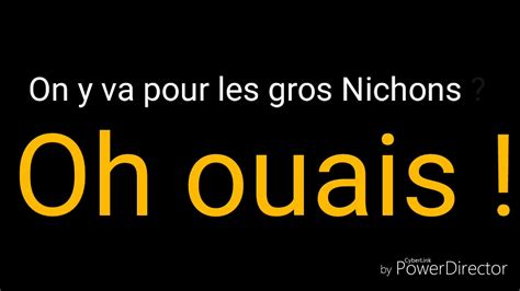 les gros nichons|VIVE LES GROS NICHONS LYRICS .